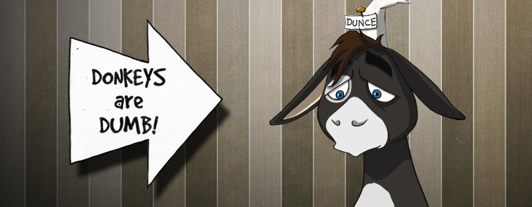 donkeys